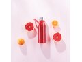 VINGA Lean Tritan Water Bottle 52