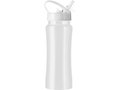 Stainless steel drinking bottle