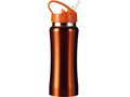 Stainless steel drinking bottle