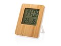 Bamboo weather station