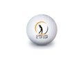 Neutral Golf Ball 1