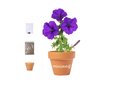 Flowerpot Soltax