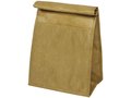 Brown Paper Bag Cooler