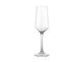 Champagne glasses - 17 cl