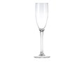 Champagne glasses - 19 cl