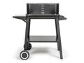 Livoo Charcoal barbecue 1