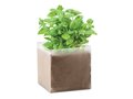 Bag with basil seeds