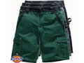 Dickies Industry Bermuda Shorts 4