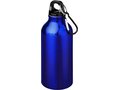 Drinking Bottle With Karabiner 19