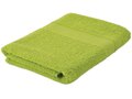 Budget Class Bath Towel 11