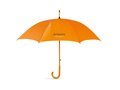 23 inch umbrella 12