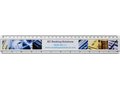 Ellison 30 cm plastic ruler with paper insert