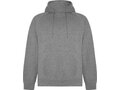 Vinson unisex hoodie