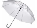 Transparent Umbrella 1