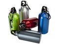 Drinking Bottle With Karabiner 12