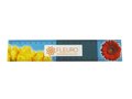 Flexible Rulers 20 cm. 1