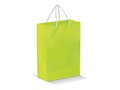 Paper Bag Large 4