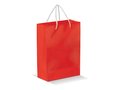 Paper Bag Large 6