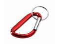 Carabiner key chain 7