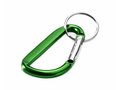 Carabiner key chain 5