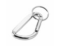 Carabiner key chain 2