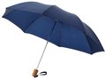 2-Section Umbrella 6