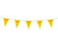 Pennants / bunting 3