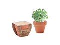 Terracotta pot cress seeds