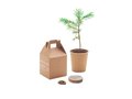 Pine tree set 3