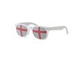 Flag Fun glasses - various countries 10