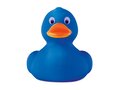 PVC duck