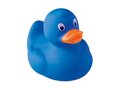 PVC duck 4