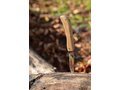 FSC® wooden knife 6