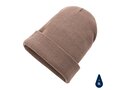 Impact Polylana® beanie with AWARE™ tracer 29