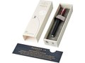 Parker IM special edition fountain pen