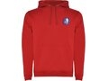 Urban men's hoodie 13