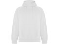 Vinson unisex hoodie 2