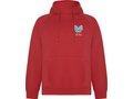 Vinson unisex hoodie 13