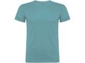 Beagle short sleeve men's t-shirt 22