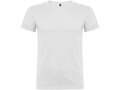 Beagle short sleeve men's t-shirt 63