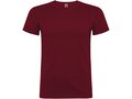 Beagle short sleeve men's t-shirt 67