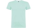 Beagle short sleeve men's t-shirt 73