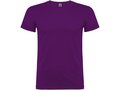 Beagle short sleeve men's t-shirt 80