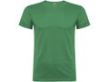 Beagle short sleeve men's t-shirt 103