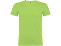 Beagle short sleeve men's t-shirt 104