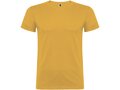 Beagle short sleeve men's t-shirt 24