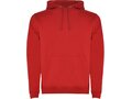 Urban men's hoodie 21