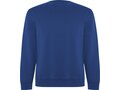 Batian unisex crewneck sweater 23