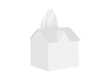 Tissue box house 1