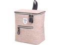 Twin Tone Bicycle Coolerbag